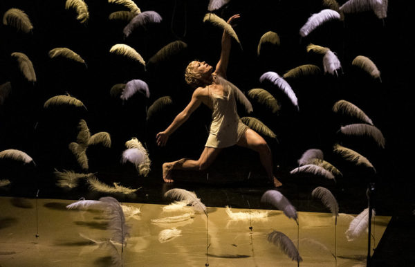 Malditas plumas al Teatre Margarida Xirgu